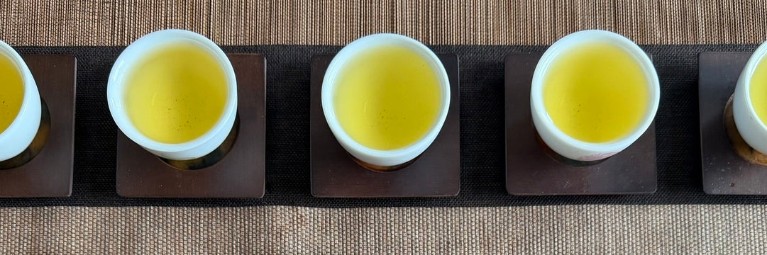 Batch 127 La La Shan High Mountain Oolong Tea Tasting Notes | Eco-Cha Tea Club