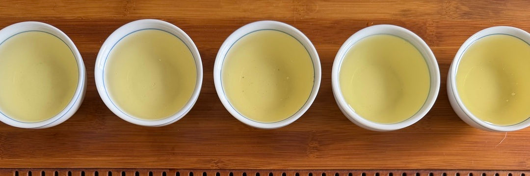 Batch 128 Award Winning Wenshan Baozhong Tea Tasting Notes | Eco-Cha Tea Club