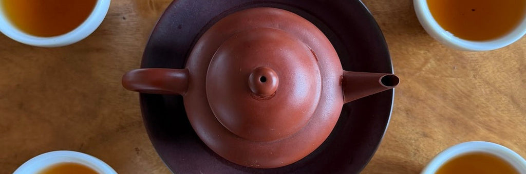 Batch 129 Alishan GABA Oolong Tea Tasting Notes | Eco-Cha Tea Club