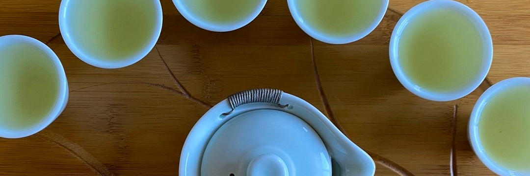 Batch 116 Wenshan Baozhong Spring Tea Tasting Notes | Eco-Cha Tea Club