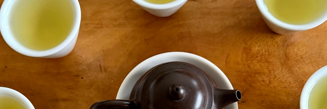 Batch 126 Early Spring Alishan Jin Xuan Tea Tasting Notes | Eco-Cha Tea Club