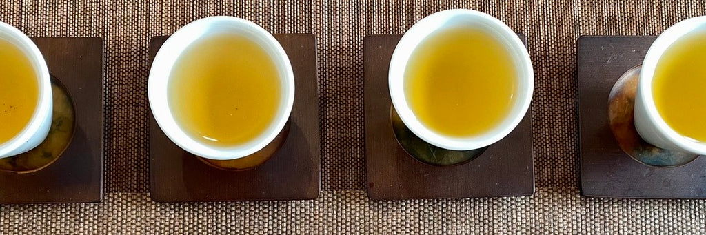 Light Roast High Mountain Oolong Tea Tasting Notes | Eco-Cha Tea Club