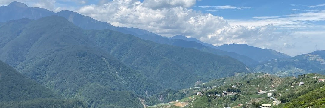 Taiwan's Li Shan high mountain tea region