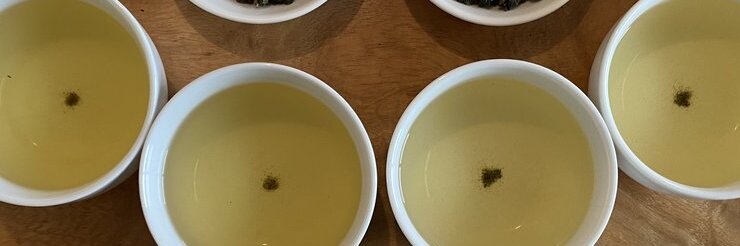 Lishan High Mountain Oolong Tea Tasting Notes | Eco-Cha Tea Club