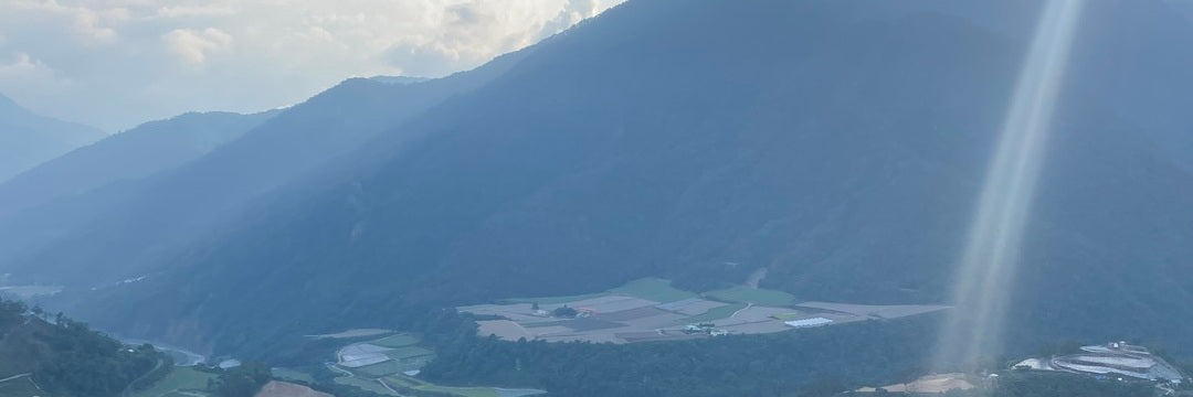 Batch 121 Li Shan High Mountain Oolong Tea | Eco-Cha Tea Club