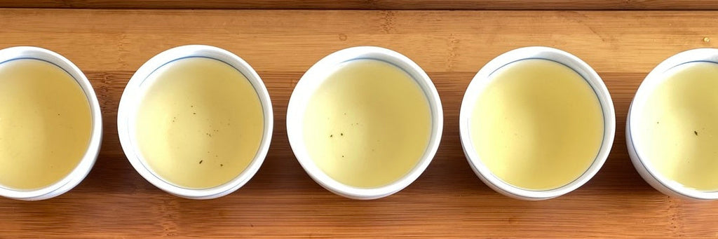 Batch 121 Li Shan High Mountain Oolong Tea Tasting Notes | Eco-Cha Tea Club