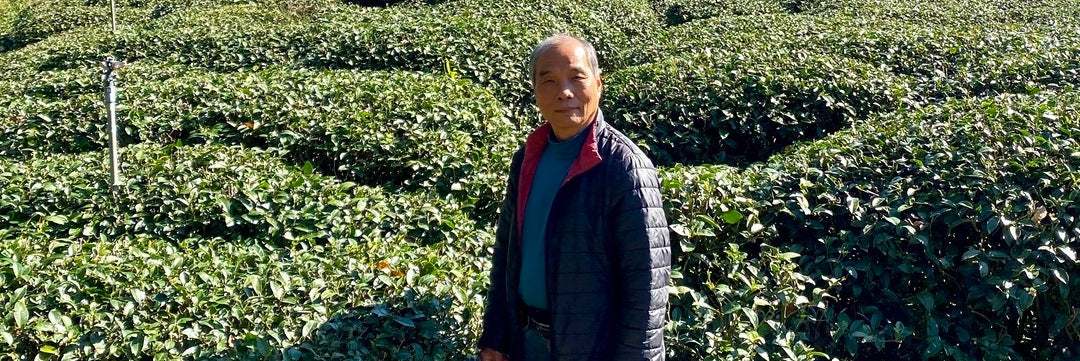 Farmer in field that's the source of Dong Pian Oolong Tea