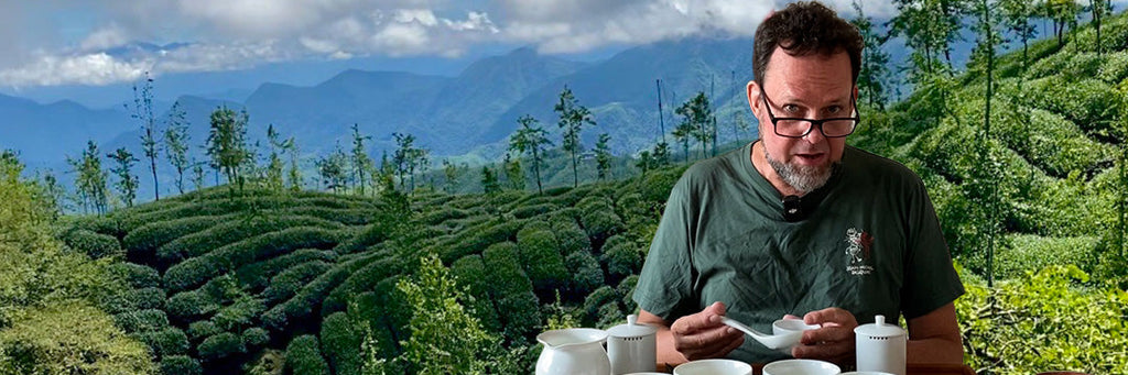 Comparing Shan Lin Xi High Mountain Oolong Spring vs Summer 2025