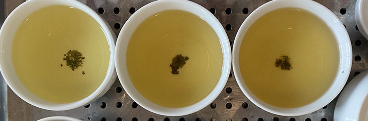 Taiwan High Mountain Tea Overview Winter 2021 | Eco-Cha Teas