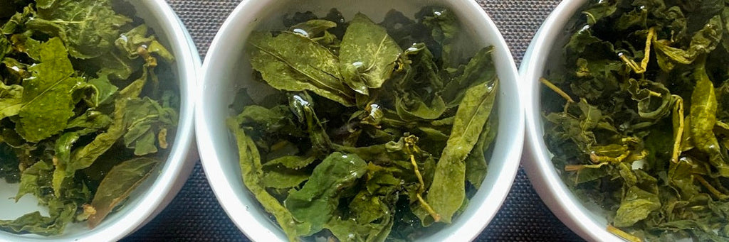 Taiwan High Mountain Oolong Tea Winter 2024