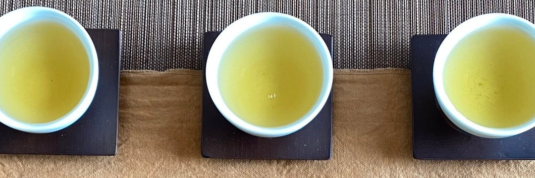 Traditional Lugu Oolong Tea Tasting Notes | Eco-Cha Tea Club