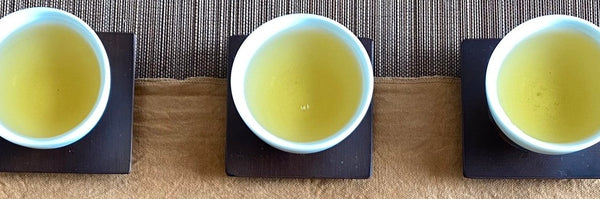 Traditional Lugu Oolong Tea Tasting Notes | Eco-Cha Tea Club - Eco-Cha Teas