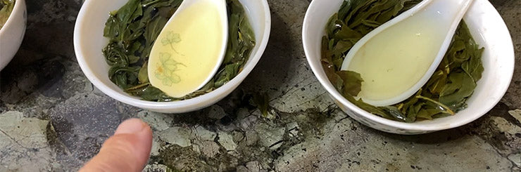 Wenshan Baozhong Tea tasting