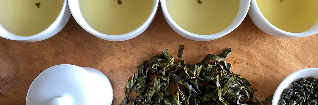 Li Shan High Mountain Oolong Tea Tasting Notes | Eco-Cha Tea Club