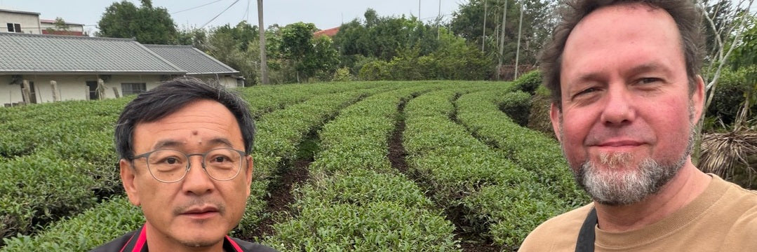 Spring 2026 Tea Harvest Season