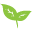 Premium Taiwanese Oolong Tea Online logo