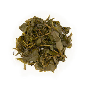 Alishan High Mountain Jin Xuan Oolong Tea, wet leaves