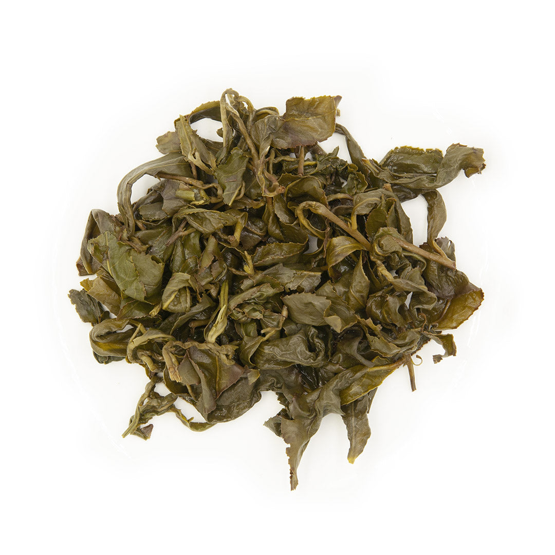 Eco-Cha Alishan High Mountain Oolong Tea, wet leaves