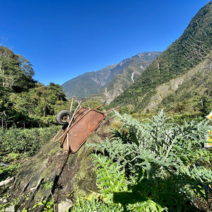 Old wheelbarrow on a boulder in a tea field near Jade Mountain in Taiwan