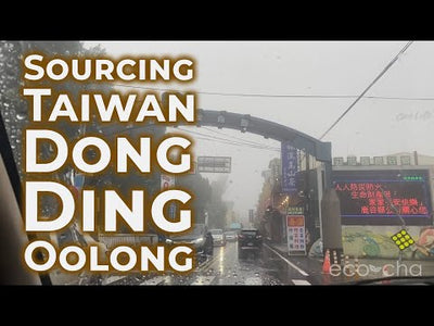 Video showing drive into Taiwan Dong Ding Oolong Tea country.
